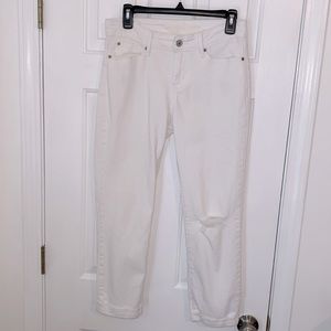 Signature by Levi Strauss